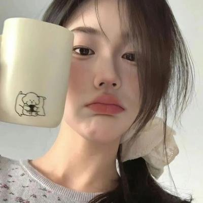 精灵宝可梦：大家的故事